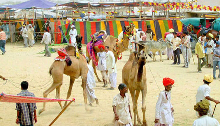Nagaur Fair Rajasthan