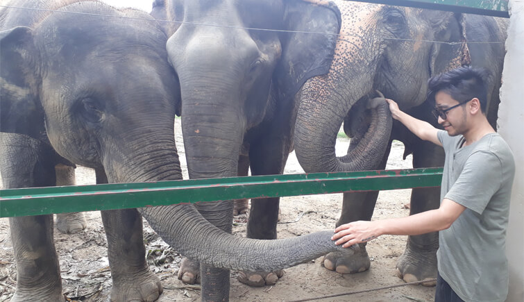 me-with-three-elephants