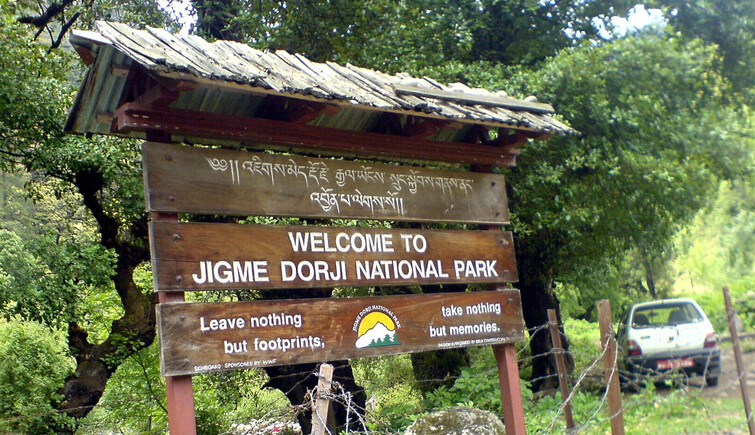 Jigme-Dorji-National-Park