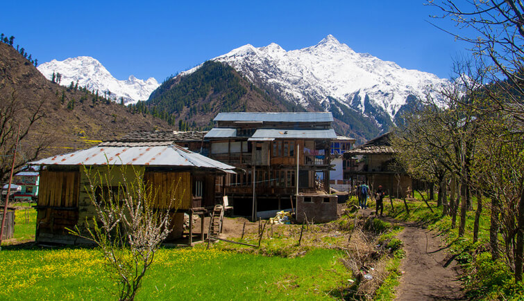 Pulga Village in Himachal