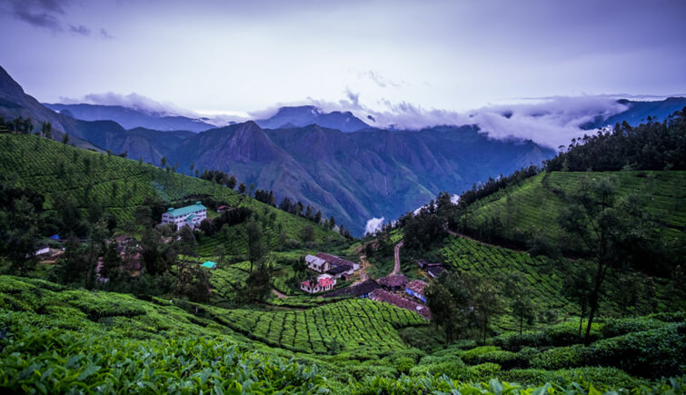 Kolukkumalai Estate Tea Factory, Kerala