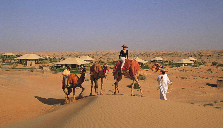 Dubai Camel Safari