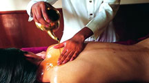 Ananda-In The Himalayas Spa Tour