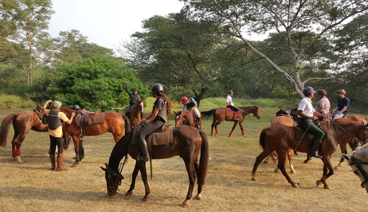 Horse Riding in India