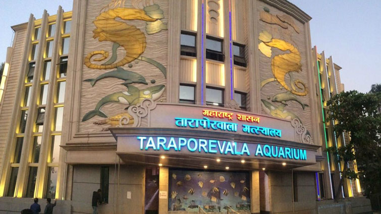 Taraporevala Aquarium