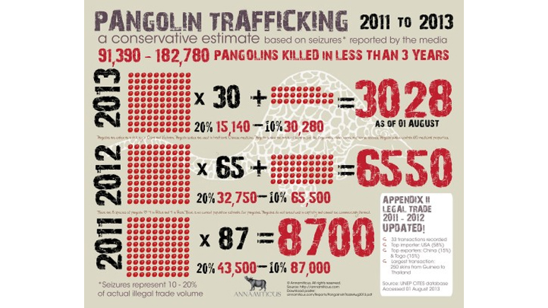 Pangolin Trafficking Data