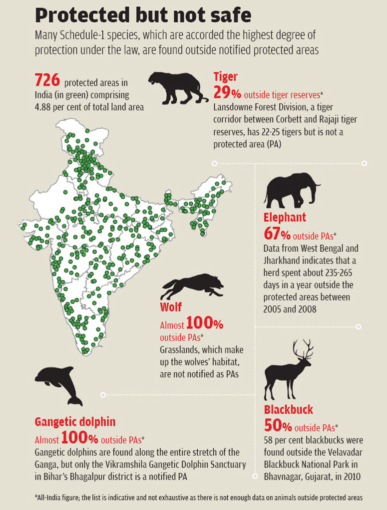 Less Focused Endangered Species of India and Where to Find Them?