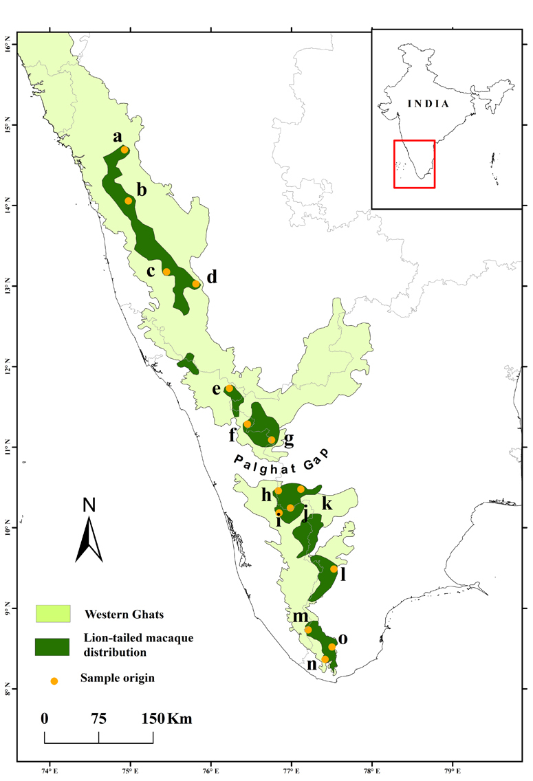 Where Lion-Tailed Macaque are found in India