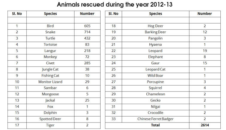 Animals-rescued-in-2012-13