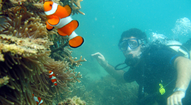 Scuba-Diving-in-Phuket