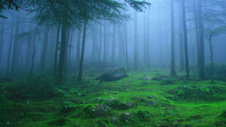 Waichin Valley, Himachal Pradesh