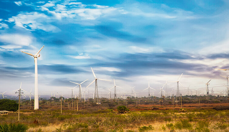 Windmill Farms of India at Muppandal Village