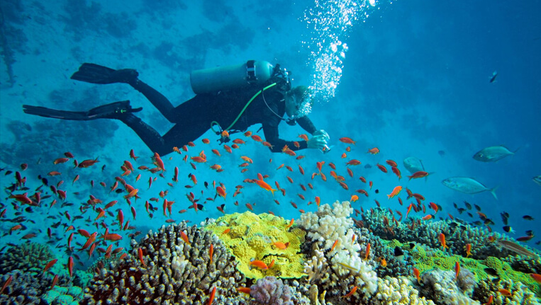 Deep Sea Diving at Andaman
