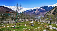 Family Holiday in Manali