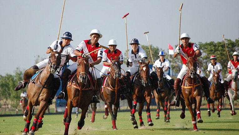 Jodhpur Polo