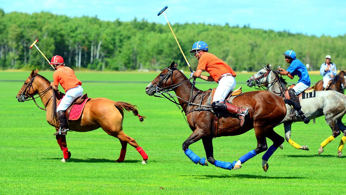 Top 20 Destination in India for Polo Players 