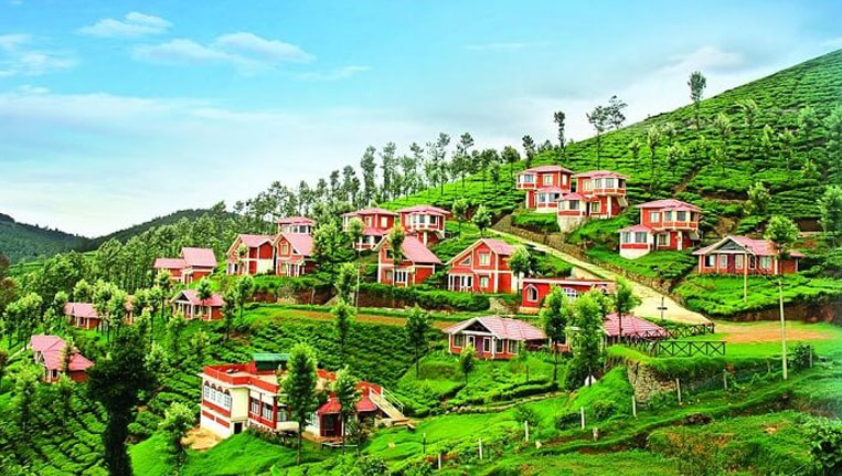 OOTY