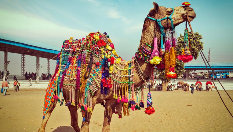 Pushkar Camel Festival
