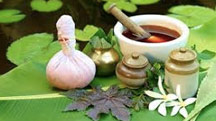 Ayurveda Holiday Packages