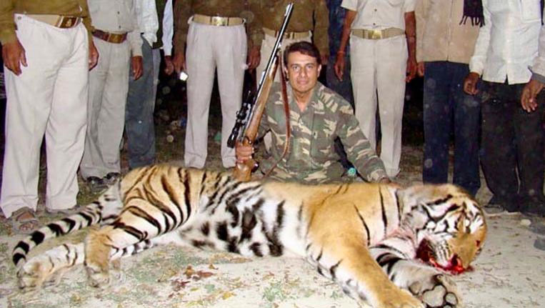 Tigress Avni Shot Dead