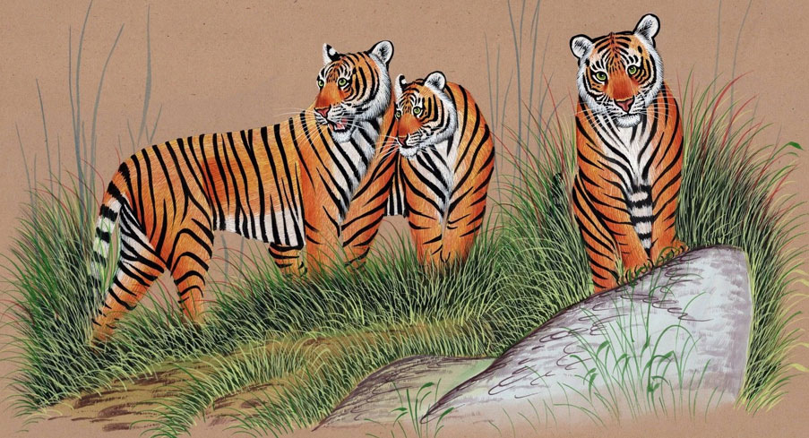 Paint for Wildlife Conservation: An Initiative for Wildlife Painters | Wildlife  Conservation