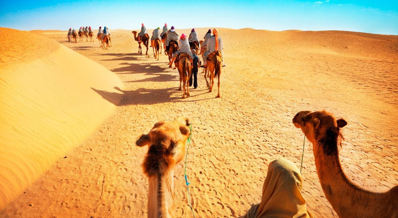 Camel-Safari-in-the-Arabian-Desert