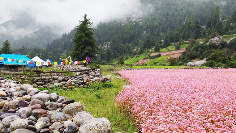 Peora Uttarakhand