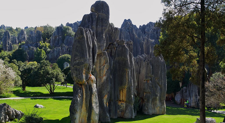 The-Stone-Forest,-China_