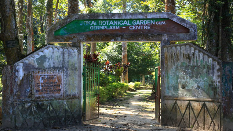 Jokai-Botanical-Garden