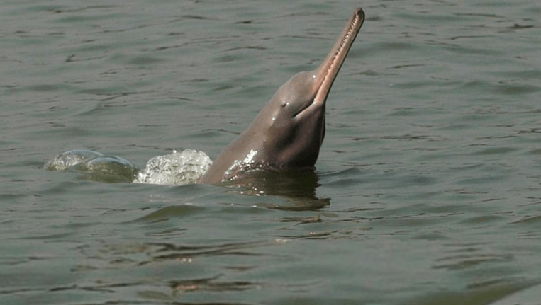 West Bengal