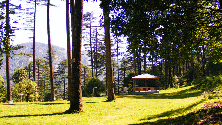 Dhanaulti