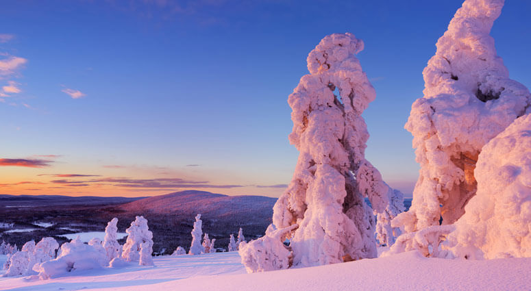 Frozen trees on top of the Levi Fell in Finnish Lapland