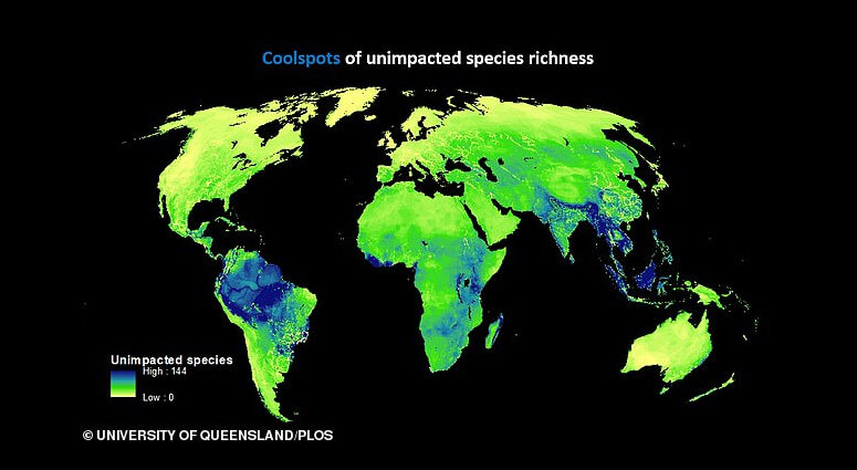 Coolspots of unimpacted species richness