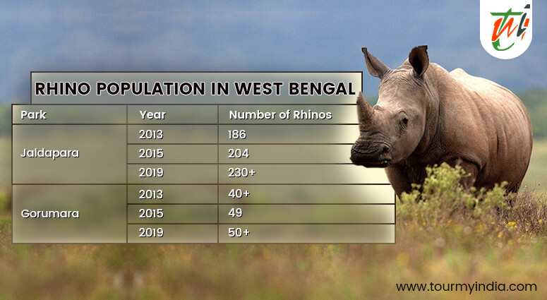 Rhino Population West Bengal
