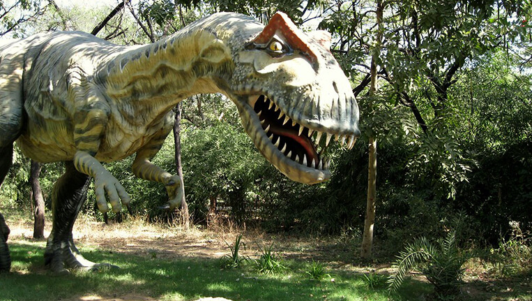 Dinosaur Museum in Gujarat