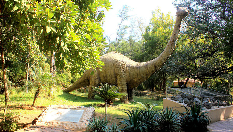 Dinosaurs Museum in Gujarat