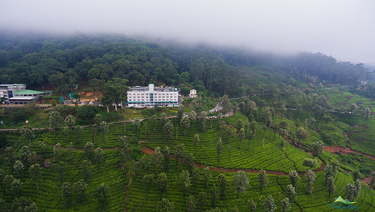 Misty Mountain, Munnar