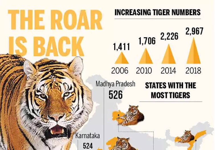 increasing tiger numbers