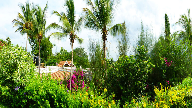 Cardamom House, Athoor, Tamil Nadu