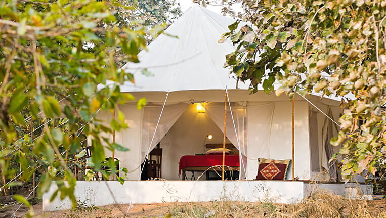 Jamtara Wilderness Camp, Madhya Pradesh