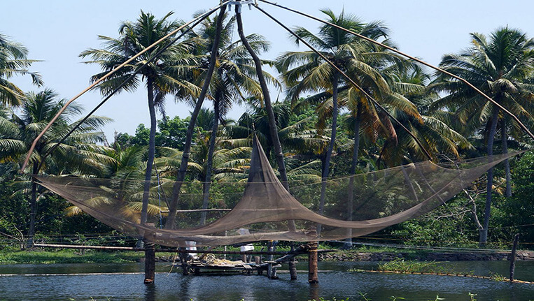 Privacy at Sanctuary Bay, Muhamma, Kerala