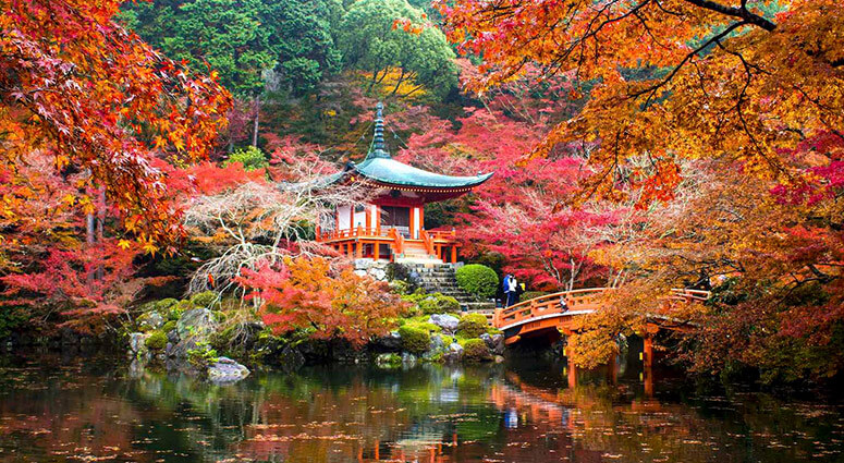 Daigo-Ji Honeymoon Destination in Kyoto, Japan