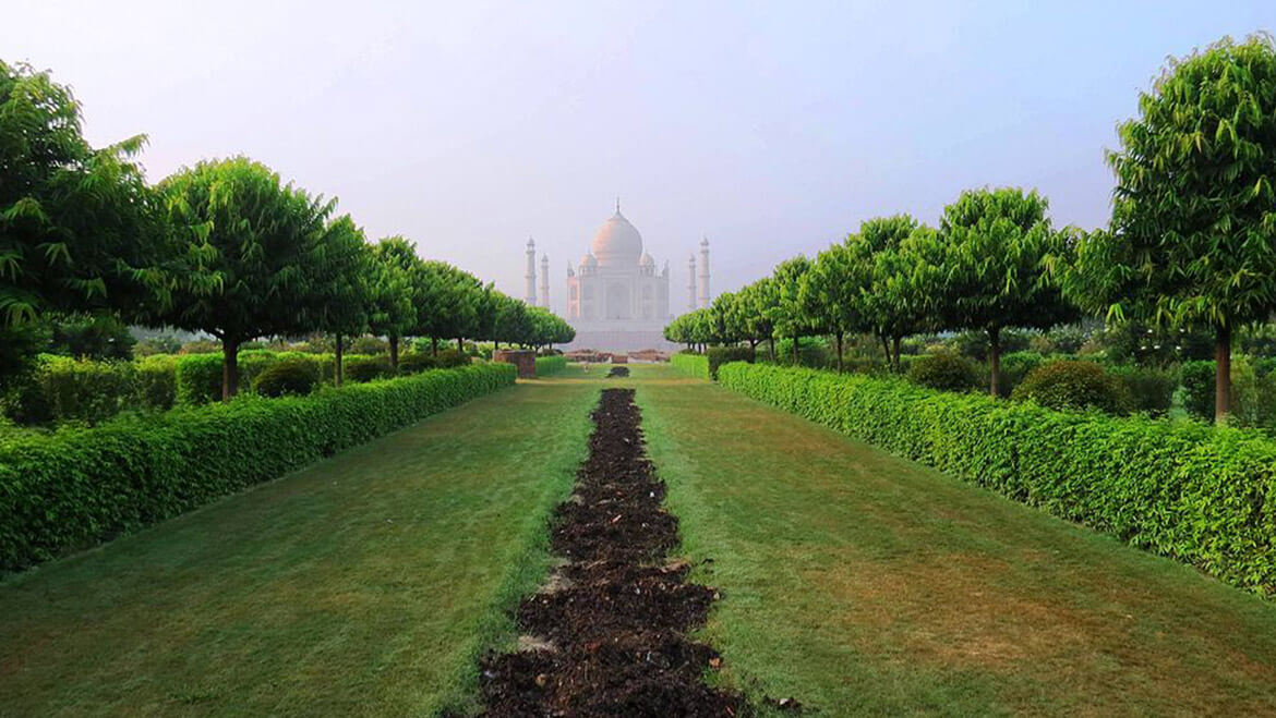 See the Taj Mahal at Dawn & Bathed in Moonlight from the New Viewpoint 