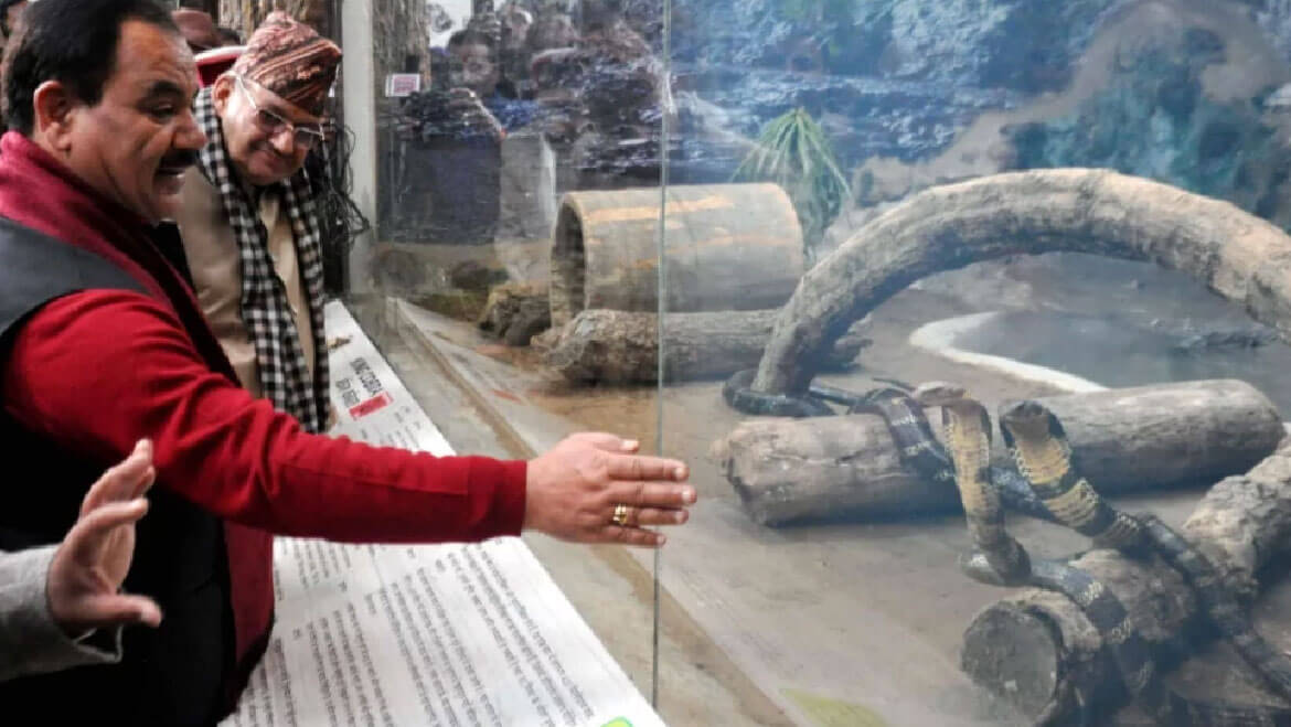 Spot Cobra and Python at the Newly Opened Snake Park in Dehradun Zoo 