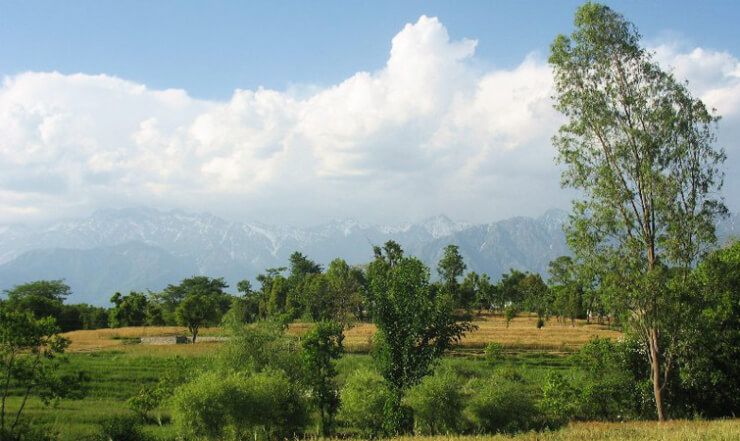 Andretta, Himachal Pradesh
