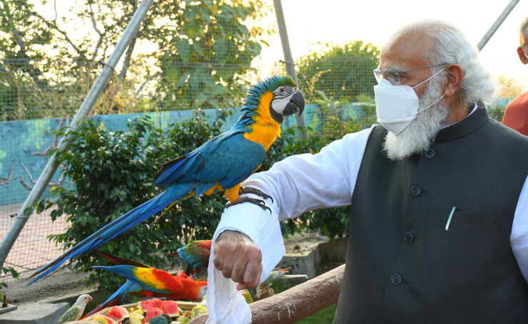 Sardar Patel Zoological Park in Gujarat