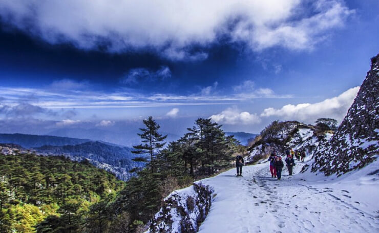 Singalila Sandakphu Winter Trek