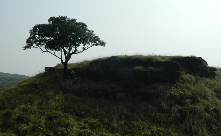 Balpakram National Park