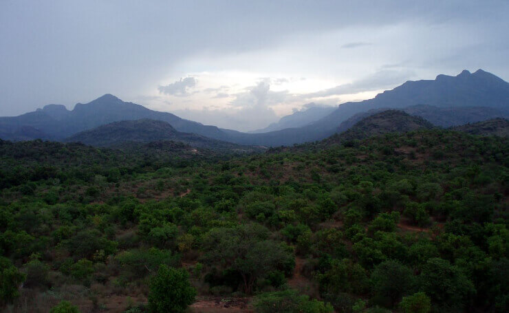 Chinnar Wildlife Sanctuary