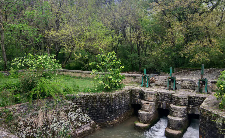 Dachigam National Park